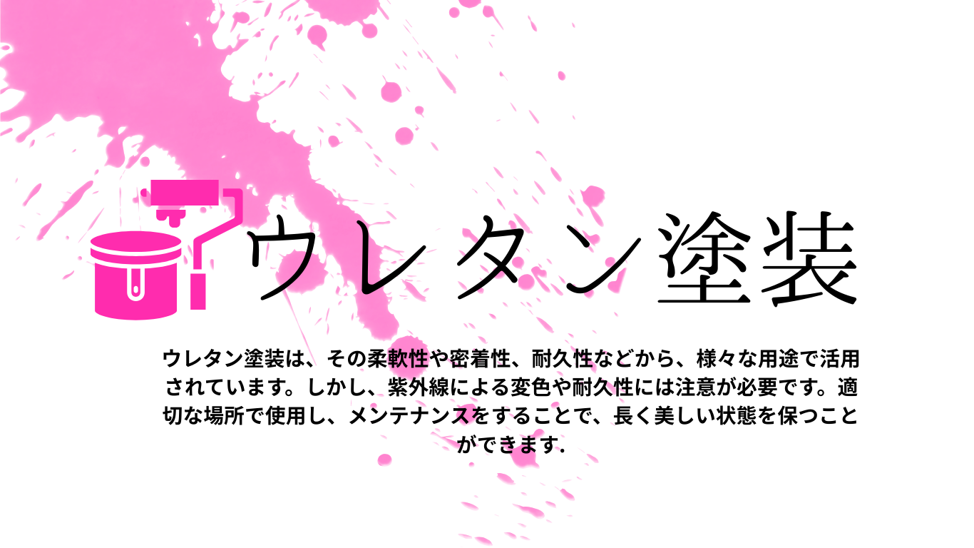 代表紹介